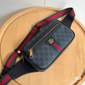 Gucci Bag 4