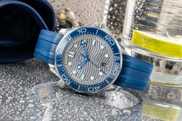 Elegant Wrist Watch